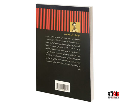 سنگی بر گوری