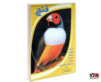 فنچ