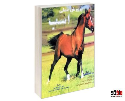 پرورش عملی اسب