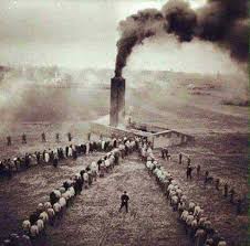 جنگ و صلح