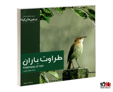 طراوت باران